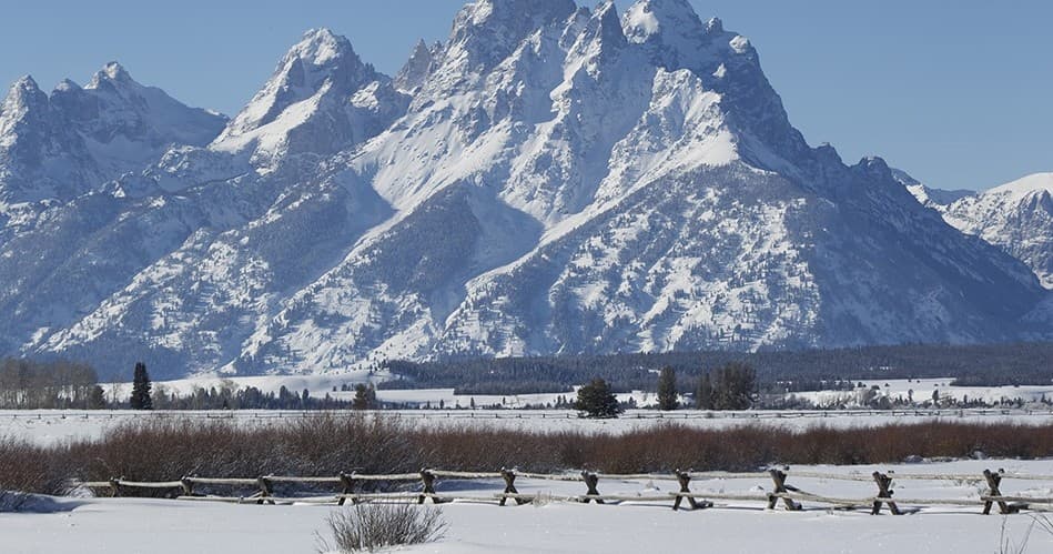 Winter Snowmobile Adventure with Teton Tour Company in Jackson