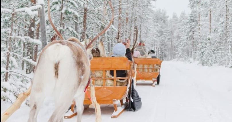 Arctic Reindeer Sledge Ride with Santa Claus Secret Forest