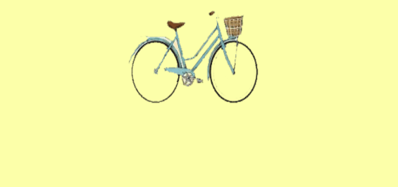 Bike Rentals at Venice Rents in Venice, Florida