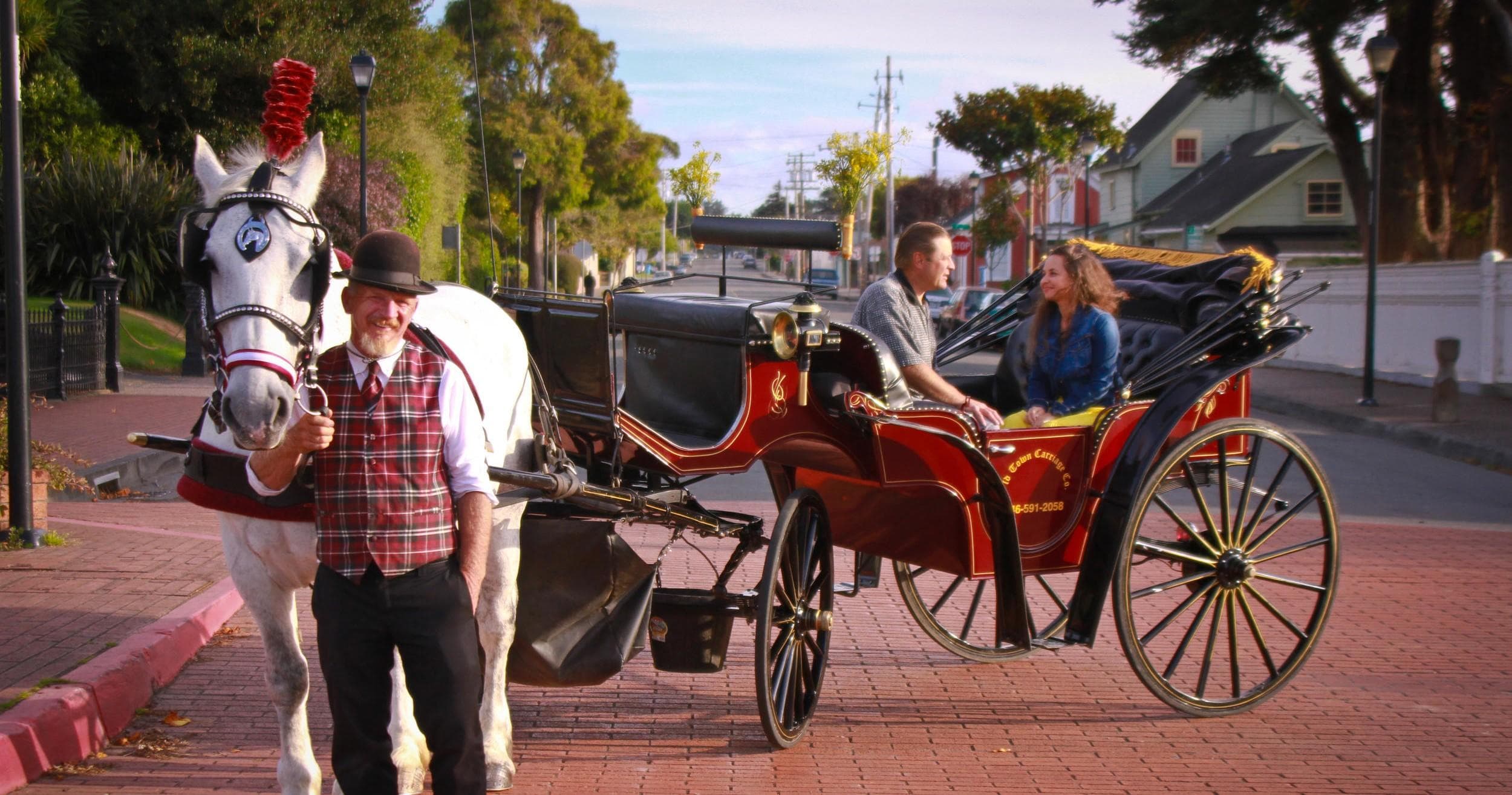 25 Minute Private Carriage Ride in Eureka, CA