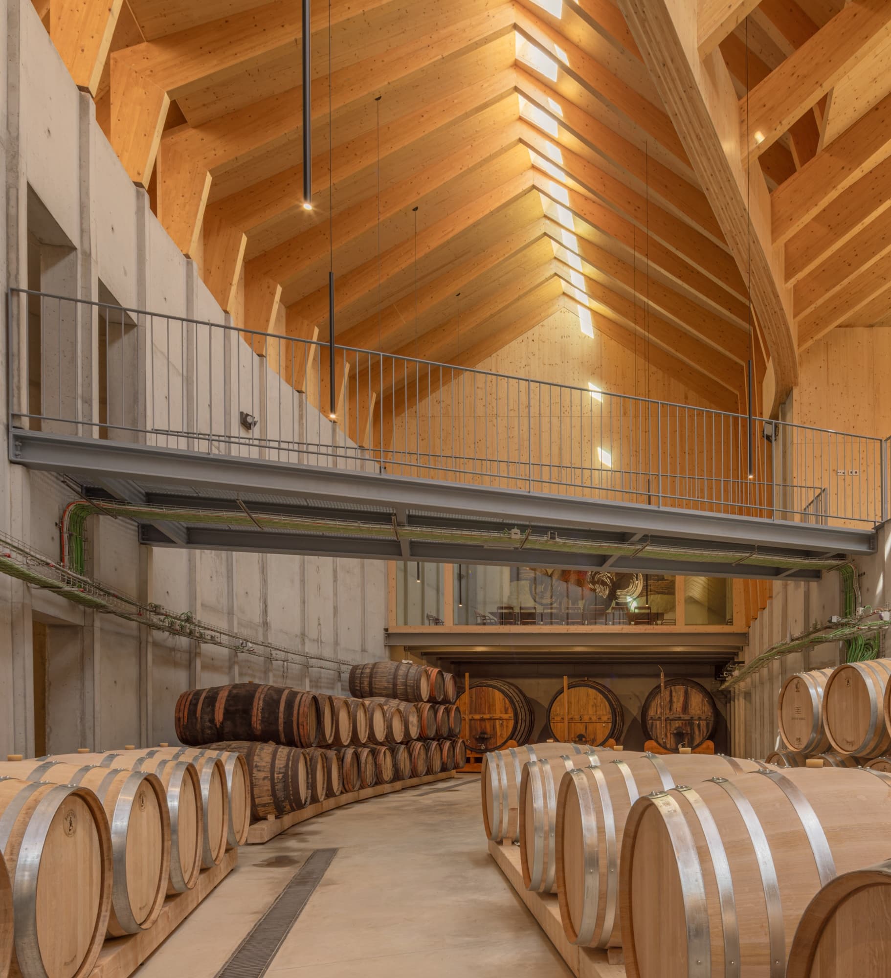 Wine Tasting & Vineyard Tour at Quinta de Adorigo