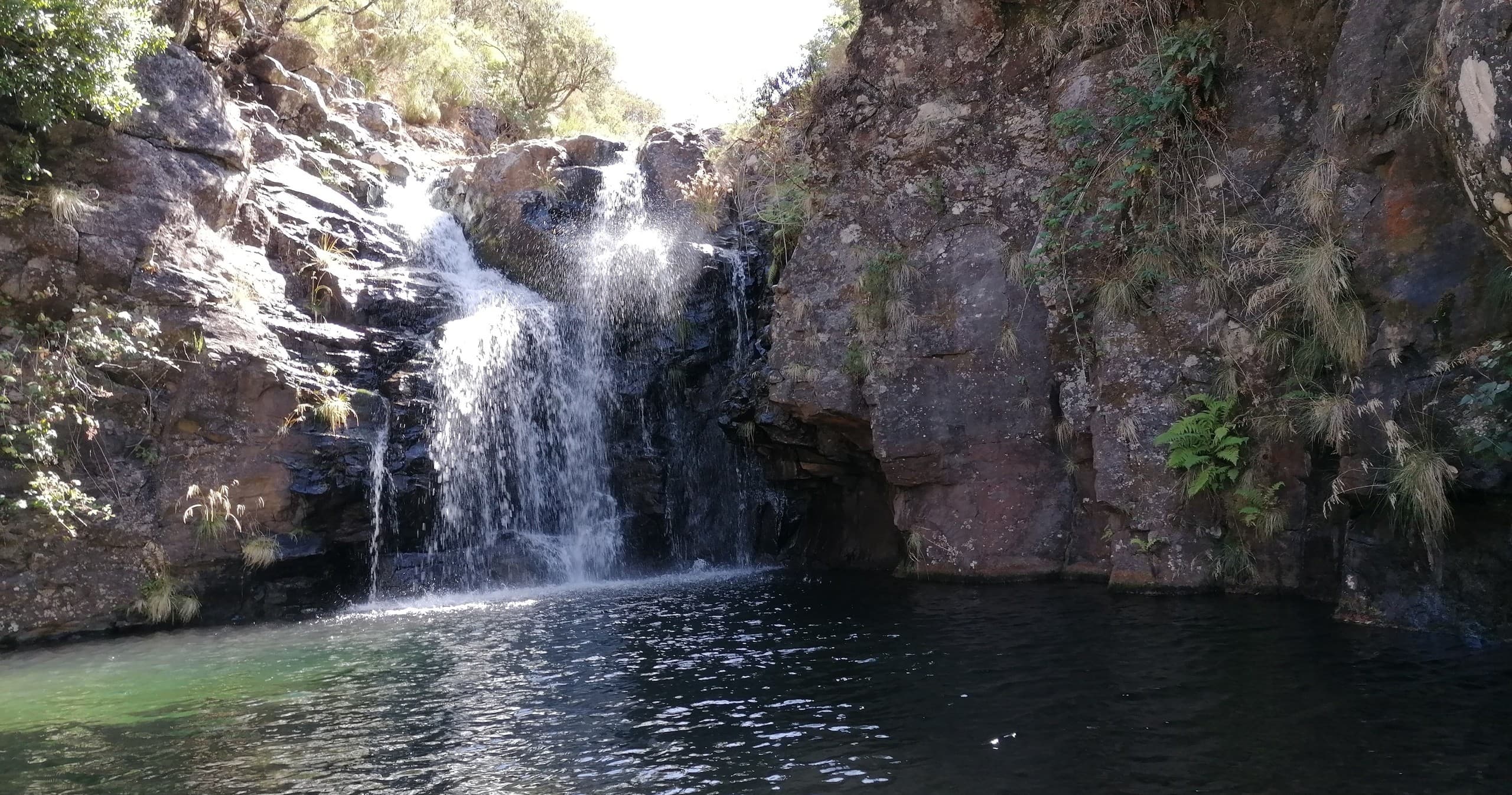 Lakes of Madeira photo 1