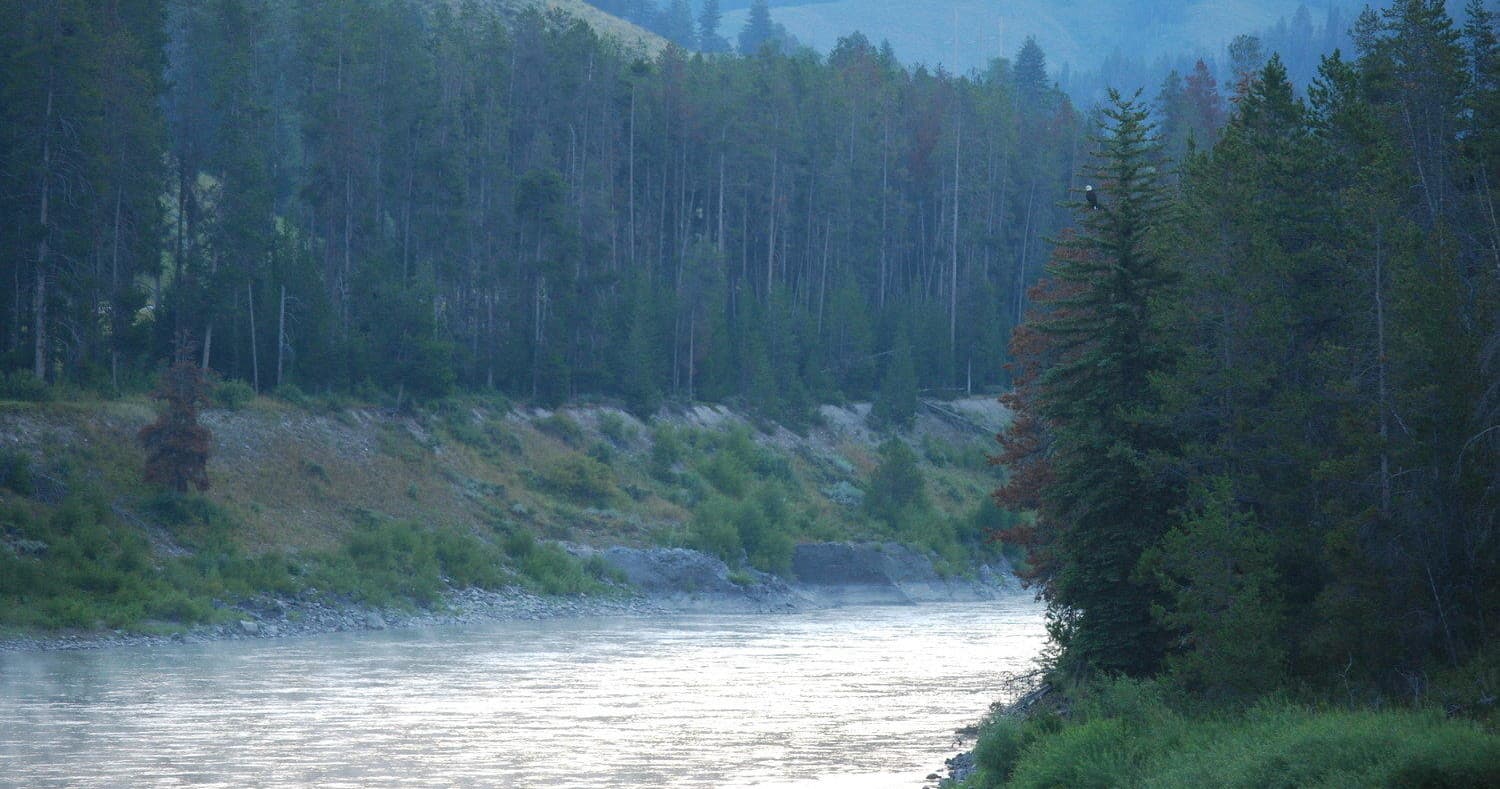 Forest river panorama with misty banks ideal for rafting