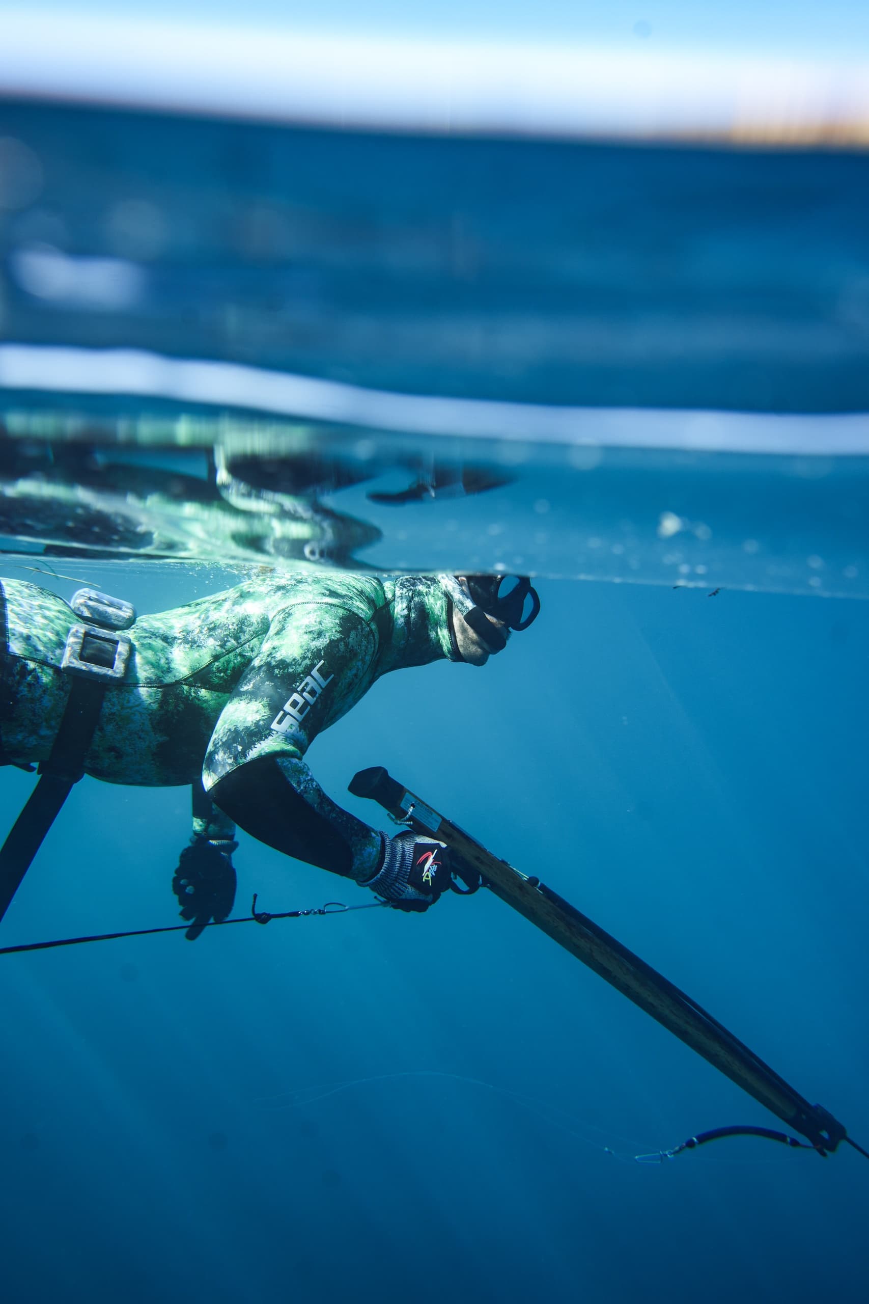 Beginner Freediving and Spearfishing in San Diego, CA