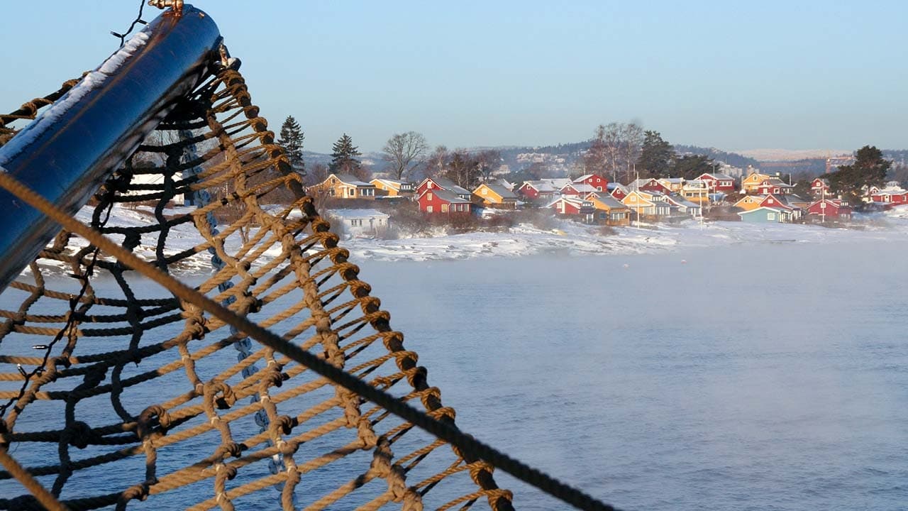 Fishing net in foreground with coastal town across icy sea