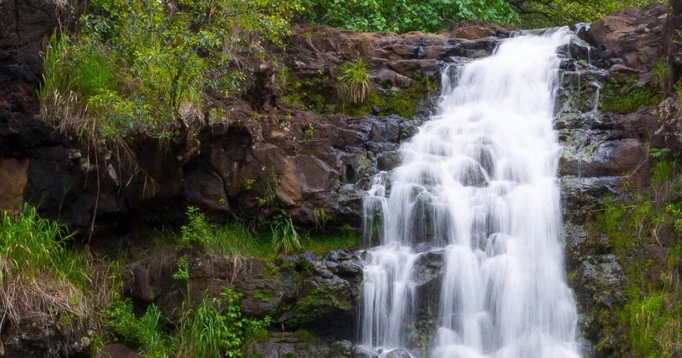 Full Day Oahu Tour with Byodo Temple & Waimea Waterfalls by Memory Shuttle & Tours LLC