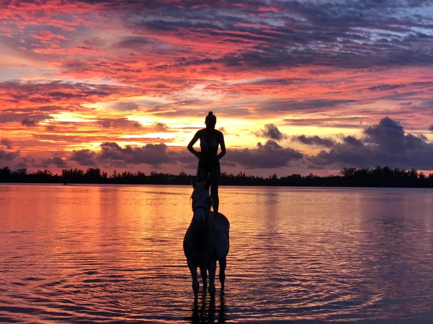 Beach Horseback Riding & Water Activities with Florida Beach Horses