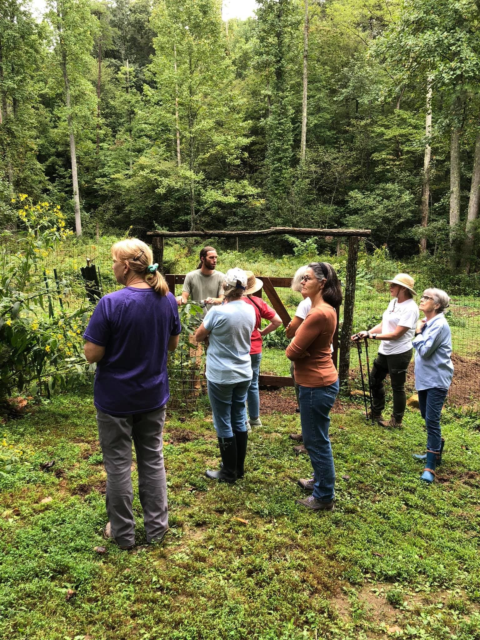 Useful Plants Hike - Herb Walk in Ellijay, Georgia