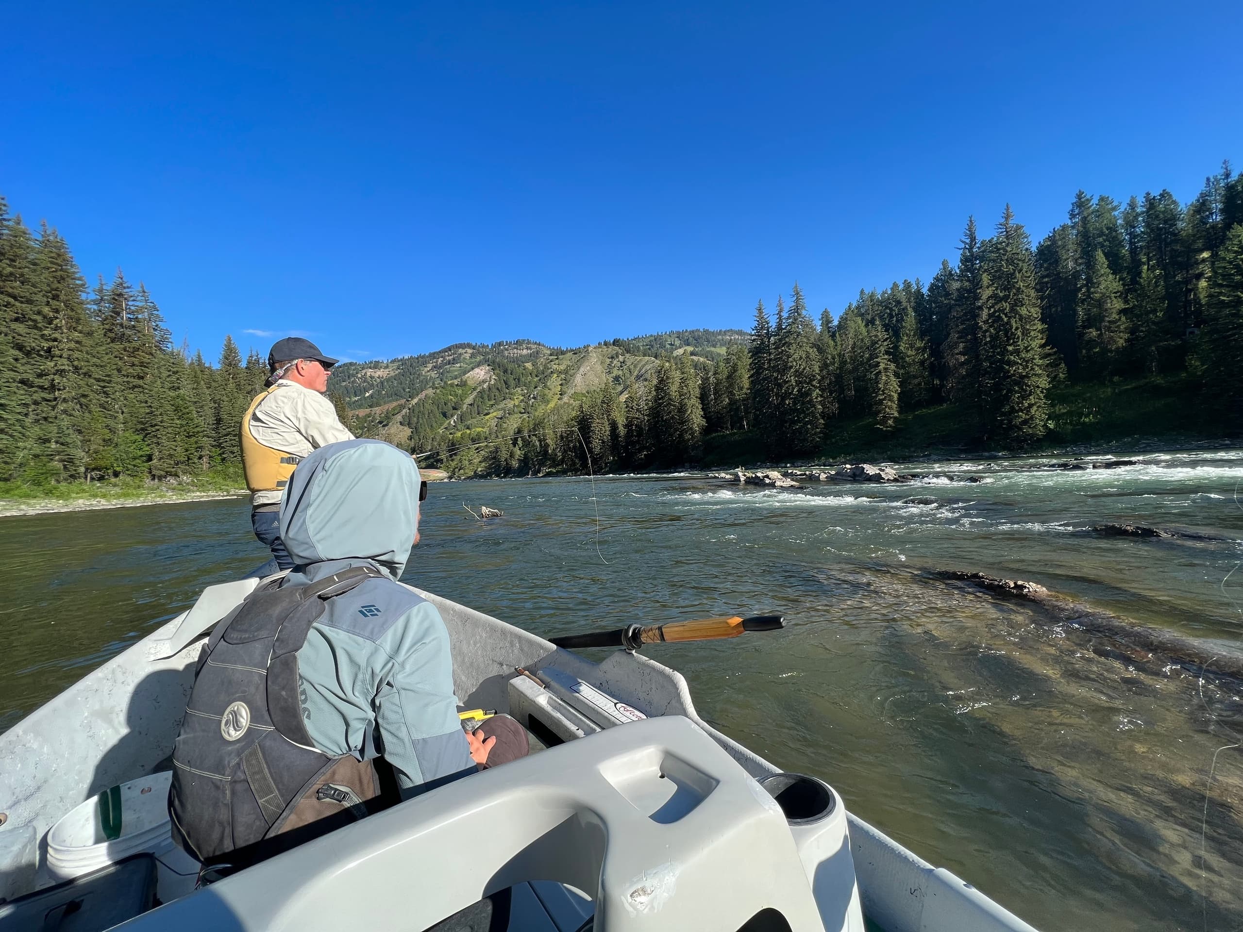 Fly Fishing the Snake River: Half-Day Guided Adventure from Jackson, Wyoming