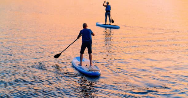 Standup paddleboarders at sunset on calm ocean, silhouetted