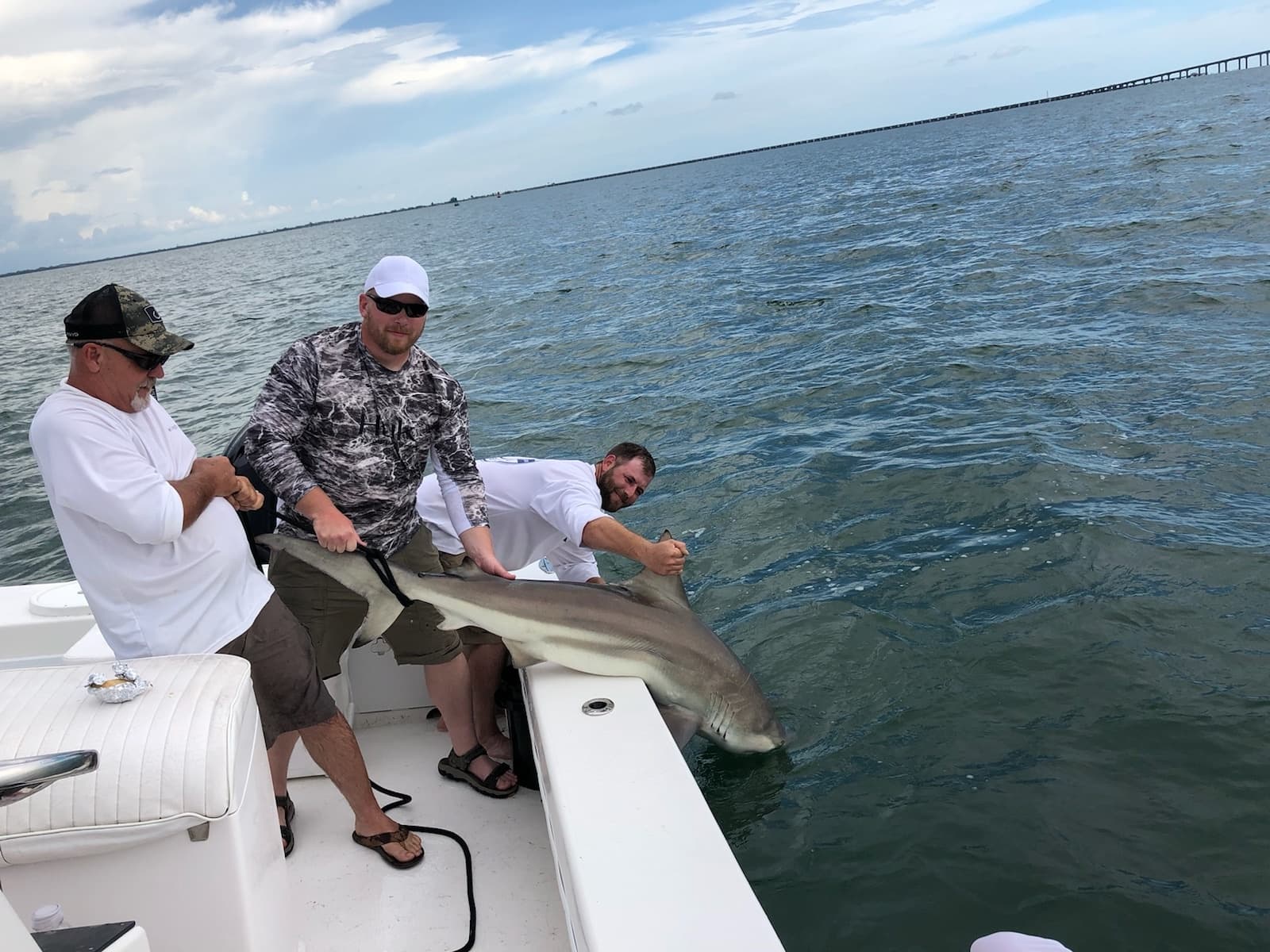 Native Sportfishing: Inshore Shark & Fish Charters in St. Petersburg