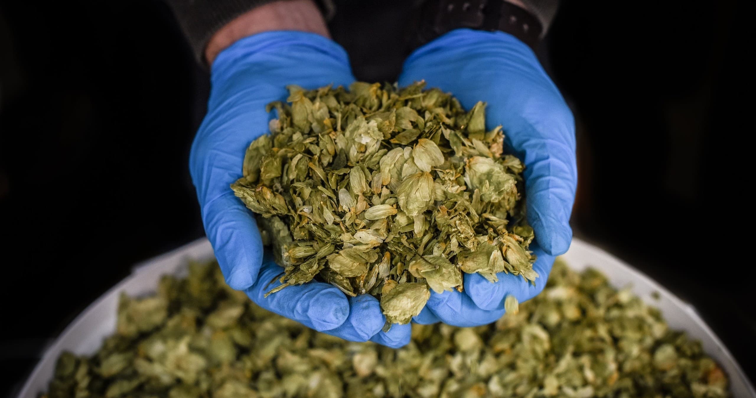 Beer Tasting & Tour at Brinkburn Street Brewery in Newcastle