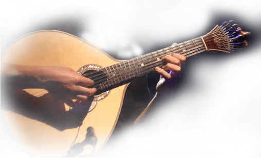 Fado Dinner in Lisbon - Private Tour by ABC Travel