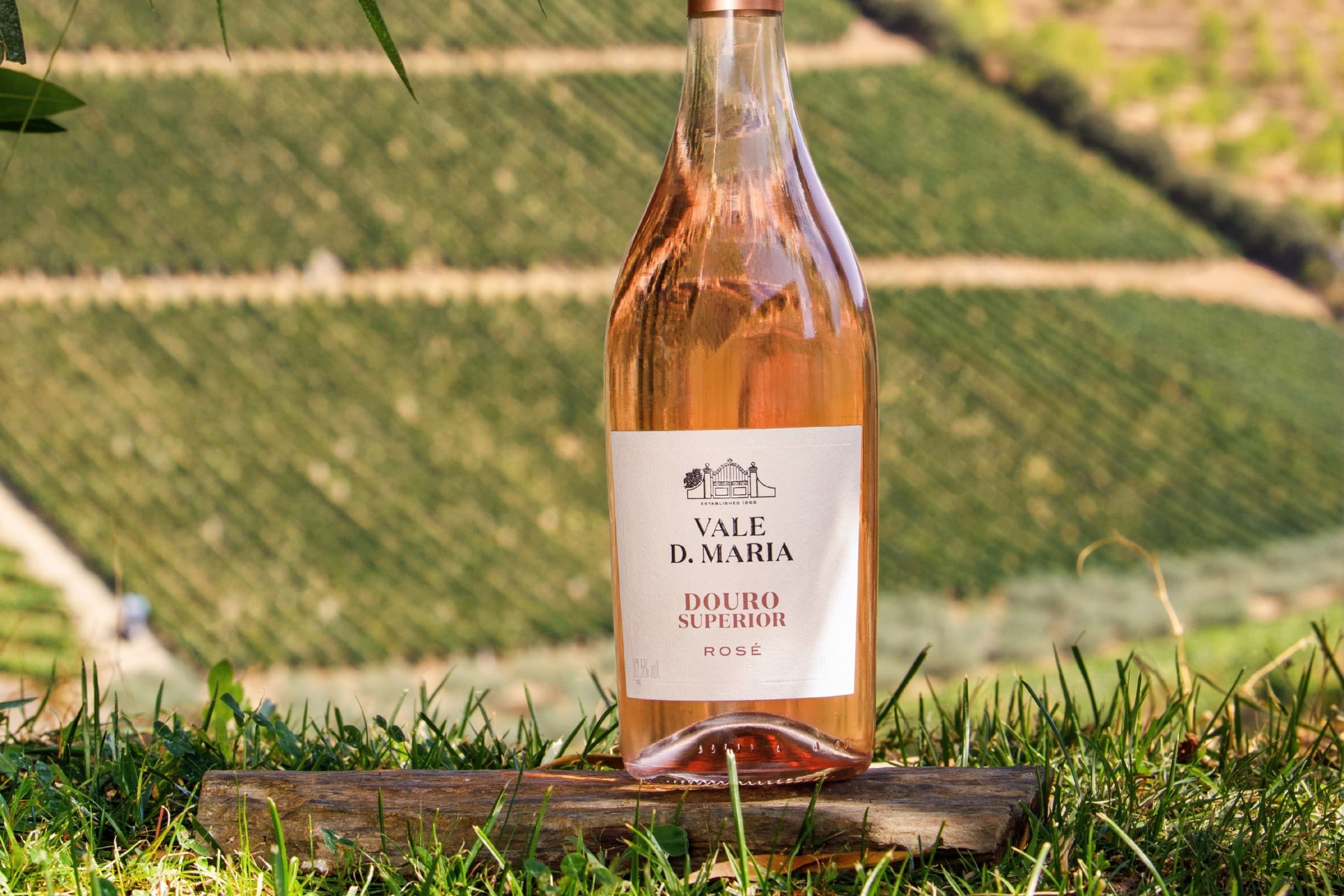 Expressões do Douro: Quinta Vale D. Maria 45-Minute Tasting in São João da Pesqueira photo 1