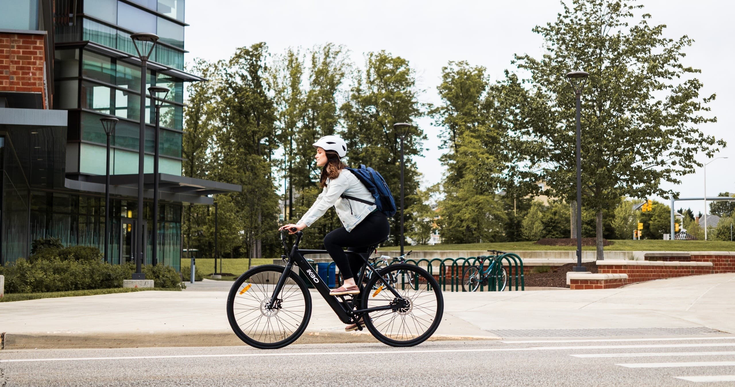 FL Bicycle Rentals fleet
