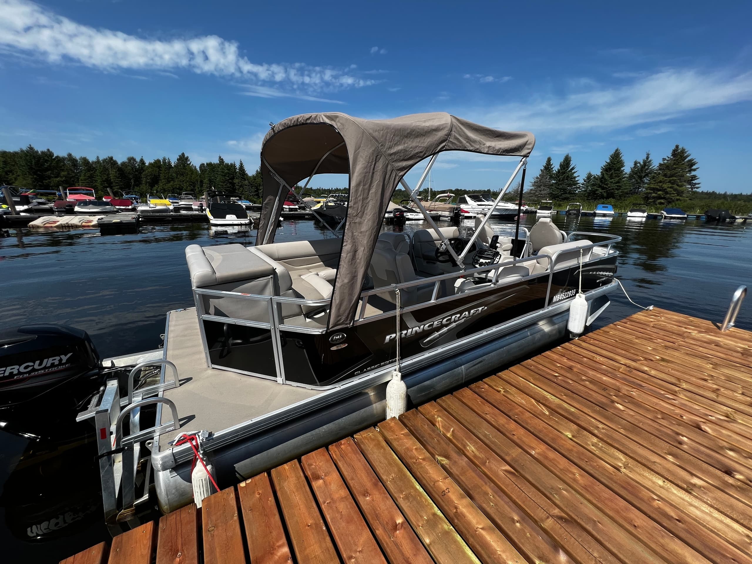 Pontoon boat moored at marina with blue sky and pine shore
