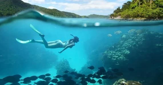 Sandbar Snorkel Trip in Delray Beach, Florida