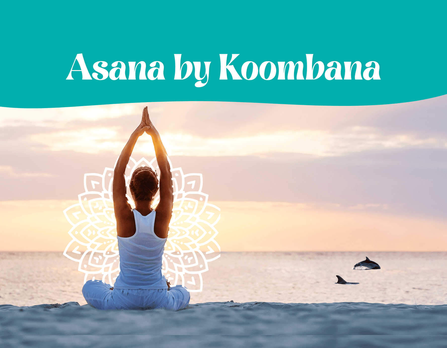 Coastal Yoga at Koombana Bay — Ocean-View Classes at Dolphin Discovery Centre