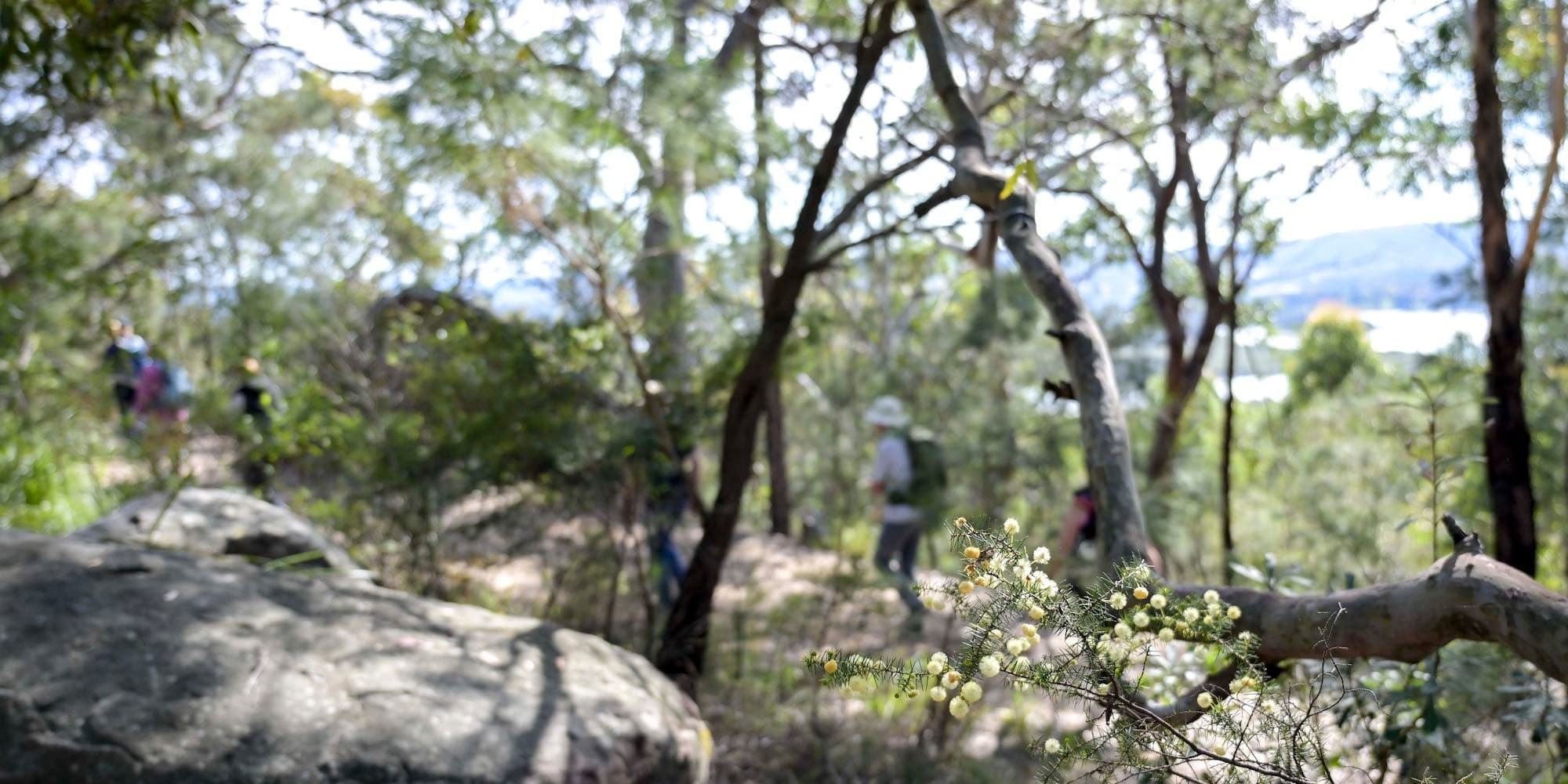 Hawkesbury River Mouth Walk: 3-Day Coastal Hike and Sail from Sydney