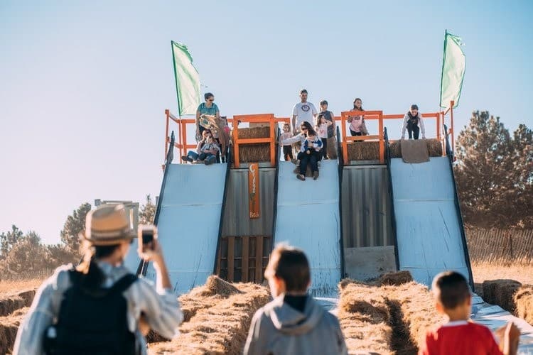 Christmas at the Ranch: Holiday Lights, Animal Encounters & Giant Slides in Monument, CO