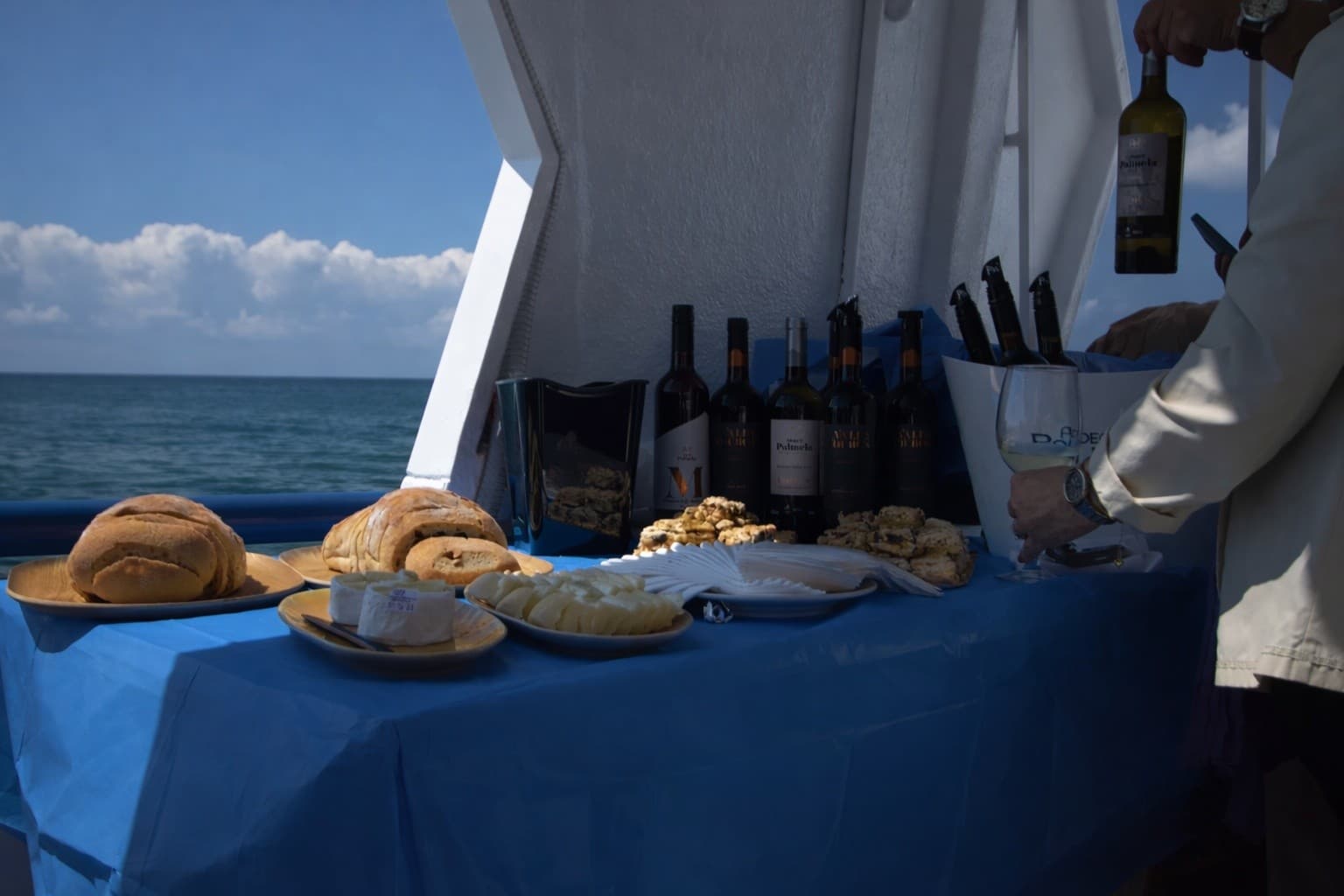 Vinhos & Marés — Sesimbra Coastal Wine Cruise with Underwater Windows
