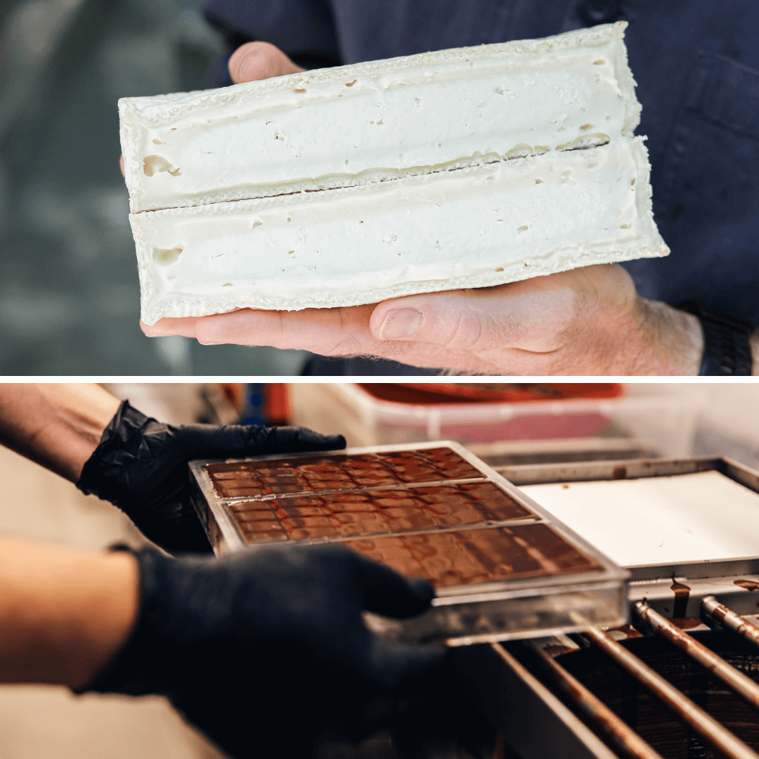 Artisan chocolate and cheese production in professional kitchen