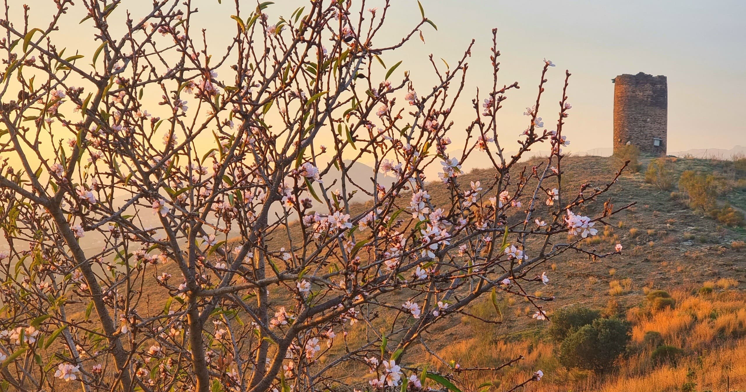 Discover La Axarquía’s White Villages and the Majestic Kalachakra Stupa: An 8-Hour Cultural and Scenic Adventure