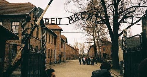 Auschwitz & Wieliczka Day Tour with AB Poland Travel