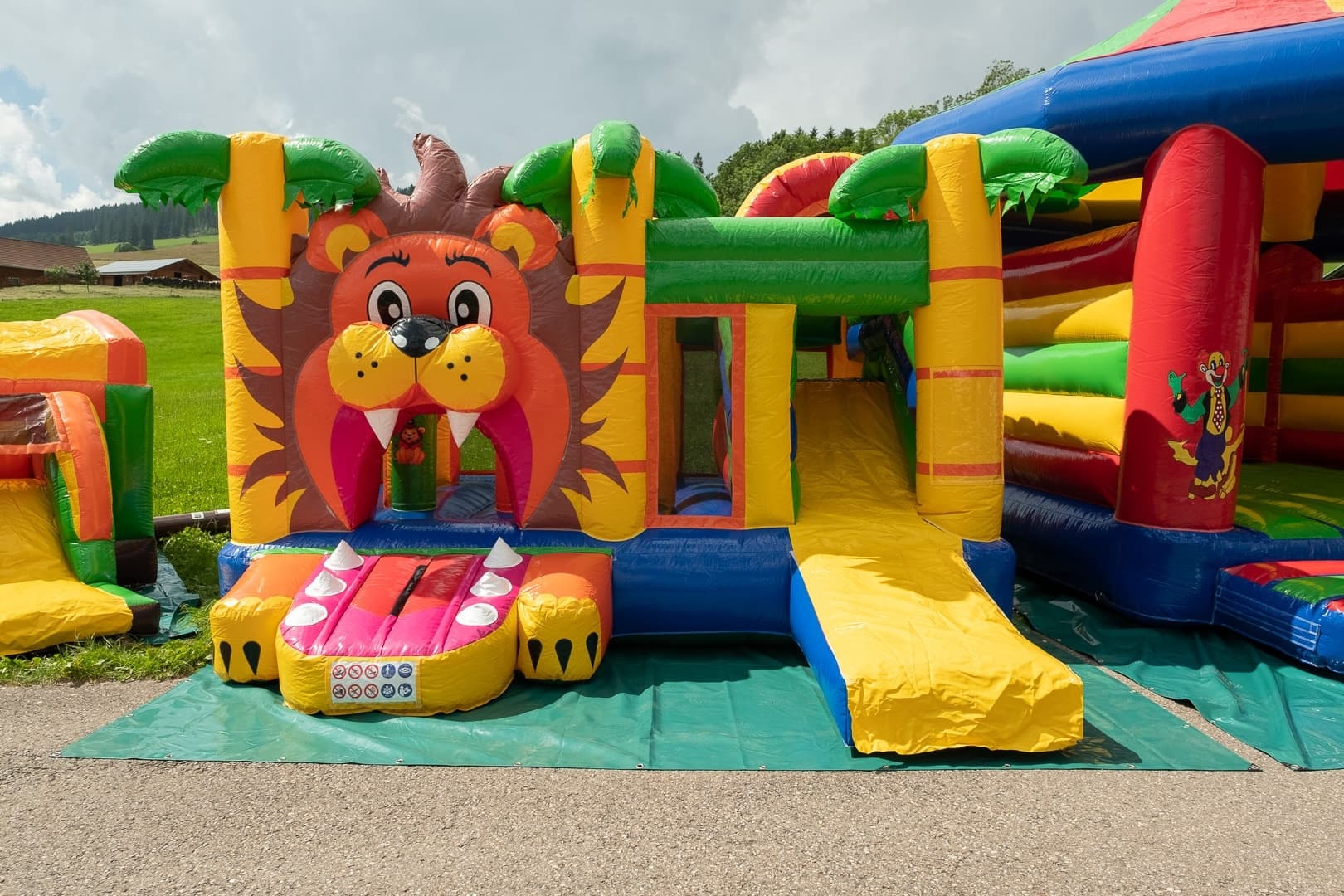 Kids' Adventure & Event Fun with Hüpfburg: Multifun Löwe