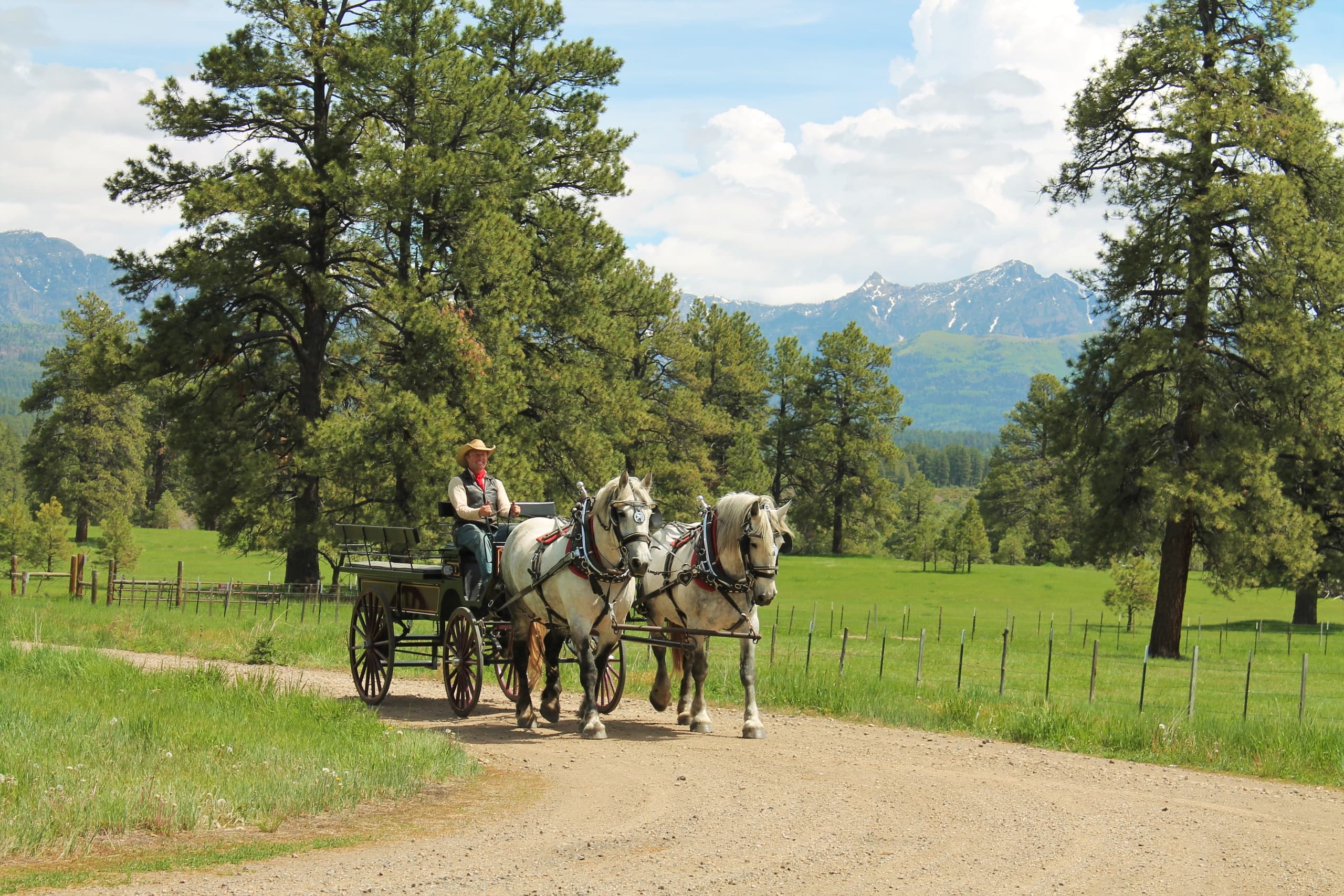 Buckaroos Horse-Drawn Rides team