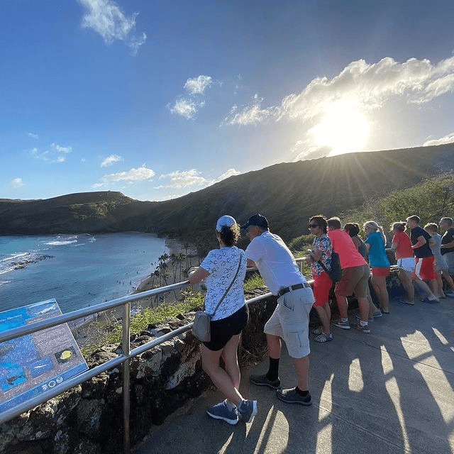 Circle Island Tour with The Pineapple EXP in Oahu