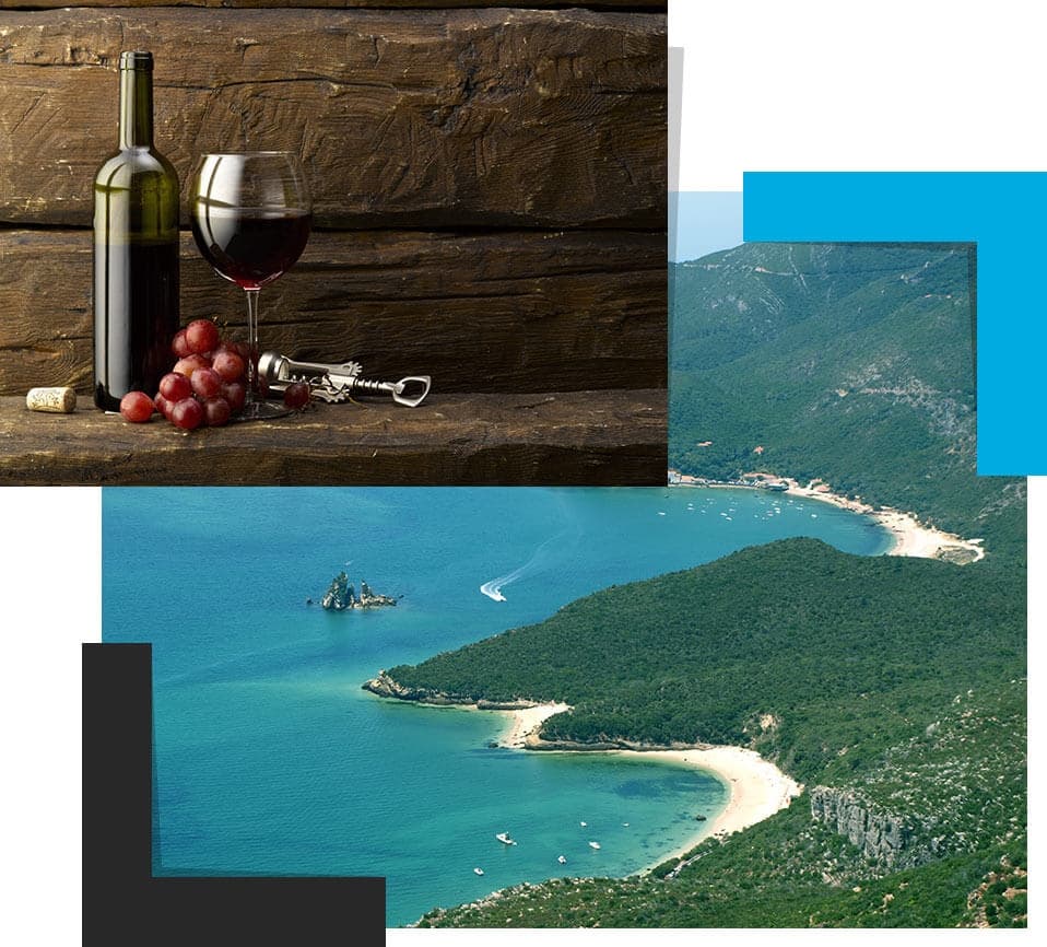 Arrábida Wine & Food Tours by Look Around Tours