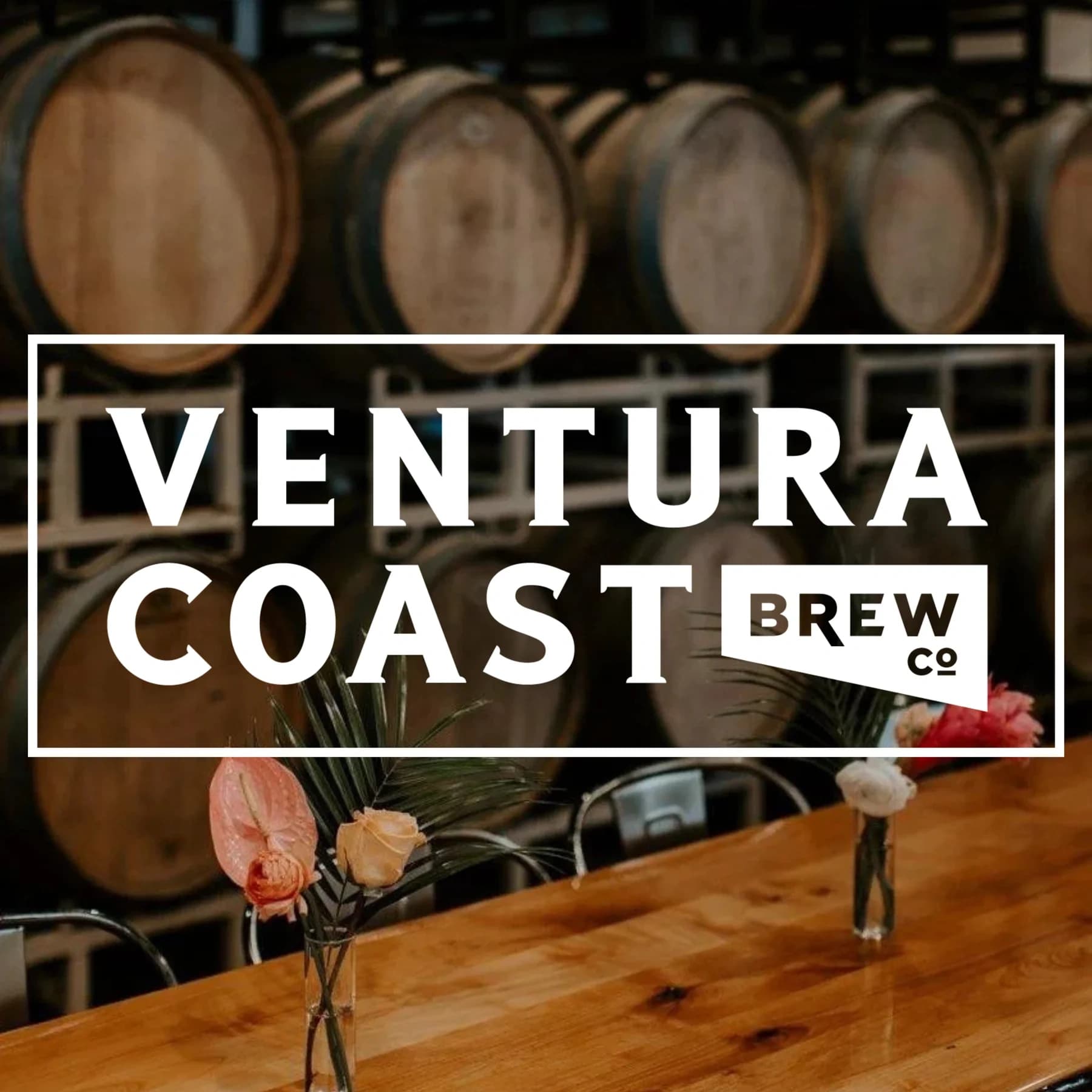 Tiny Trees and Taproom Nights at Ventura Coast Brewing Company