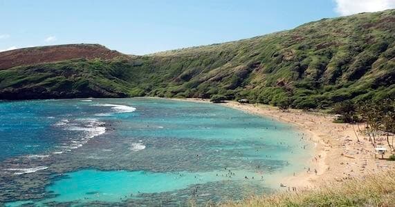 Kaimana Tours team