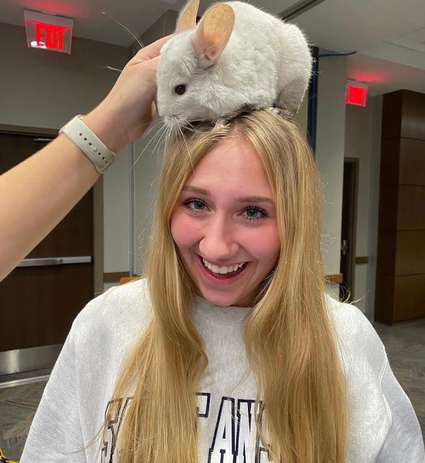 Hands-On Rodent Class: Meet Hazel the Capybara and Small Mammals in Hubbardston, MA photo 3