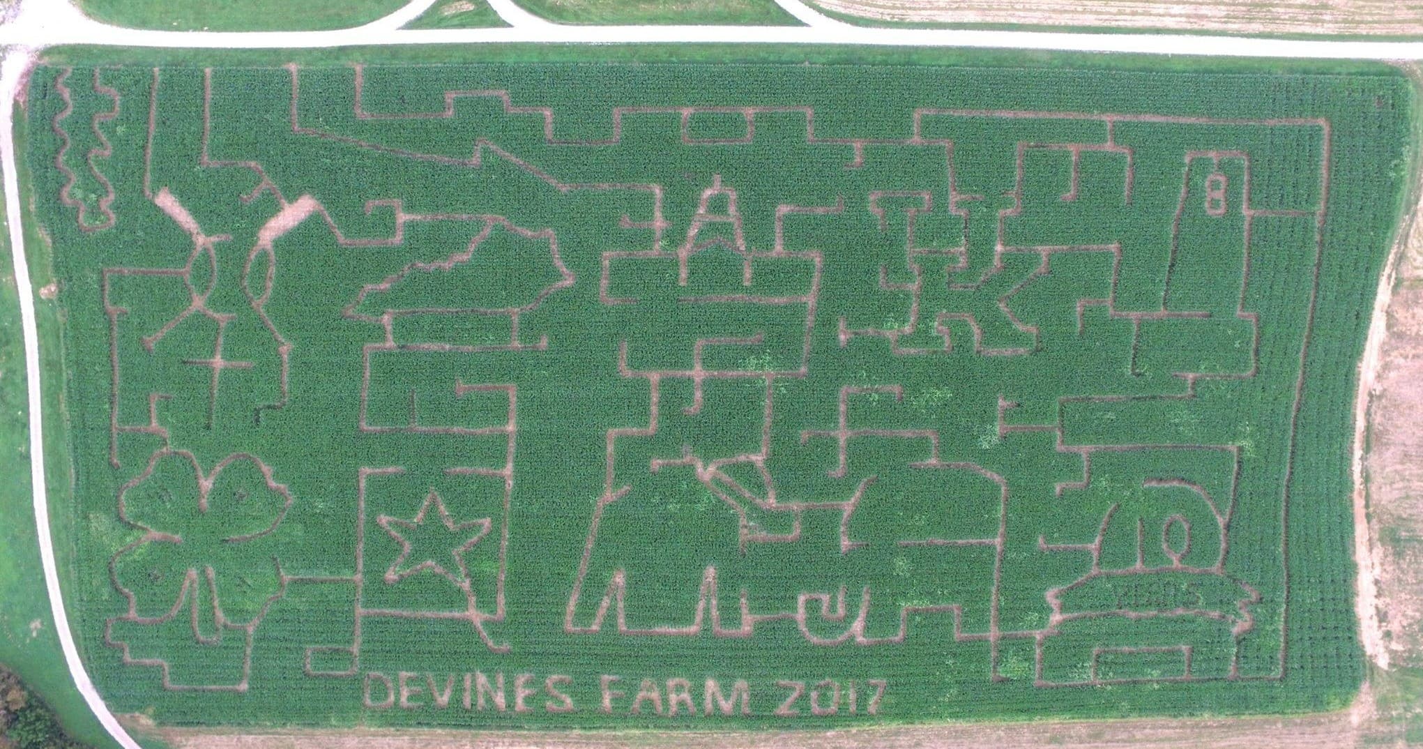 Aerial corn maze at Devines Farm with intricate cut paths