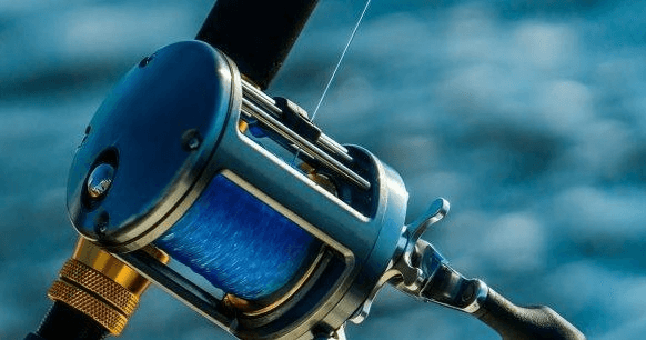 Half Day Private Fishing Charter off Calabash, NC: Reel in Spanish Mackerel and Sharks