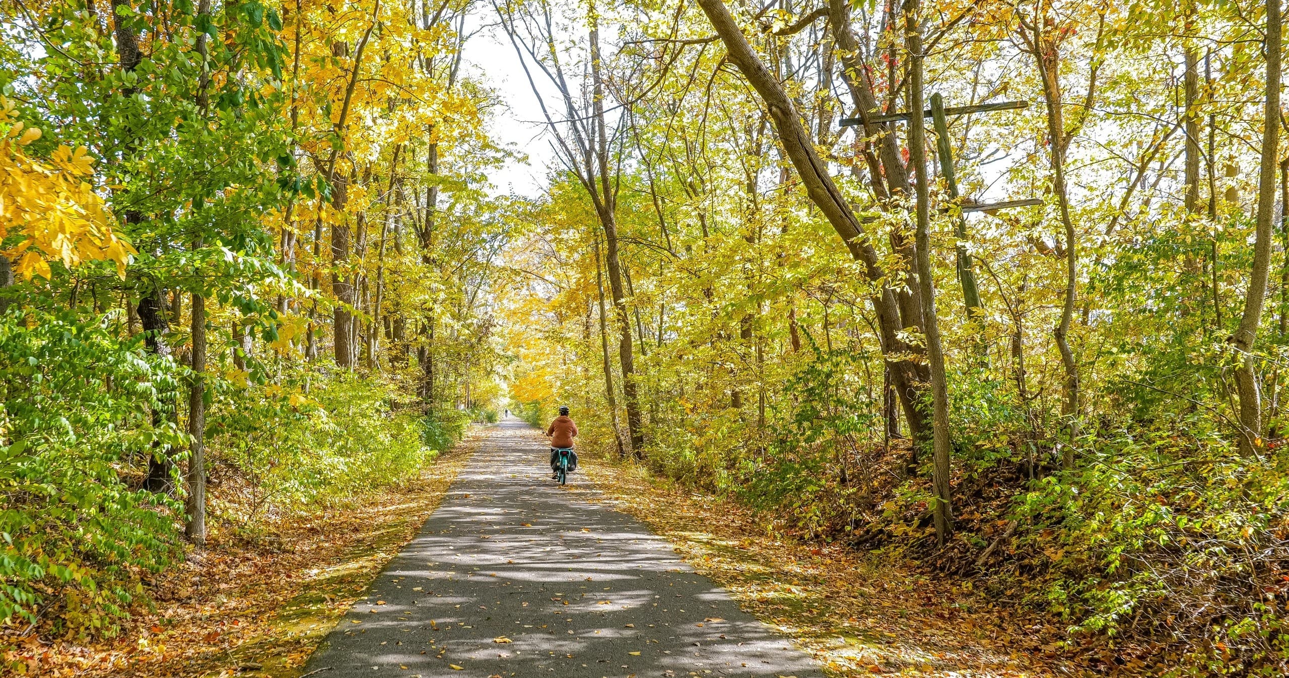 Cyclist riding forested paved trail in autumn on scenic greenway