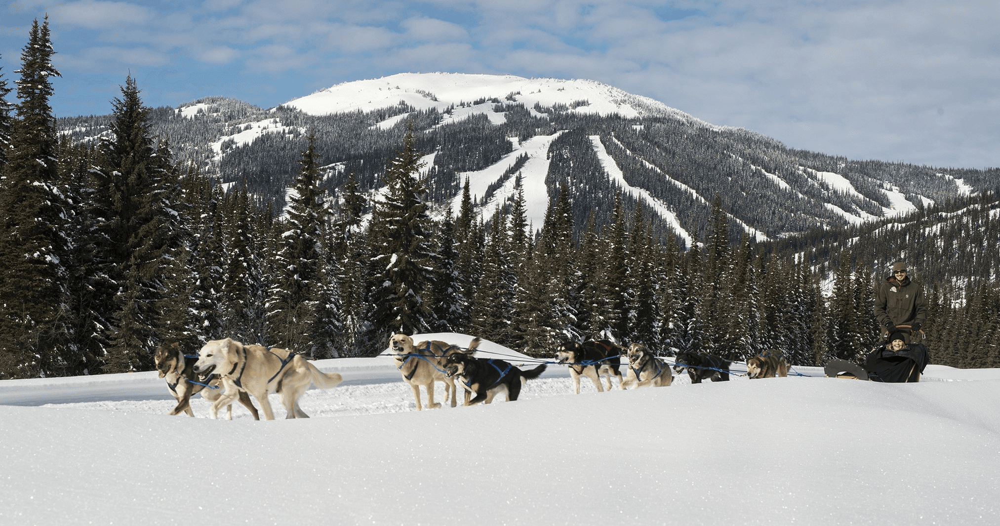 Winter Sports & Dog Sledding with Mountain Man Dog Sled Adventures