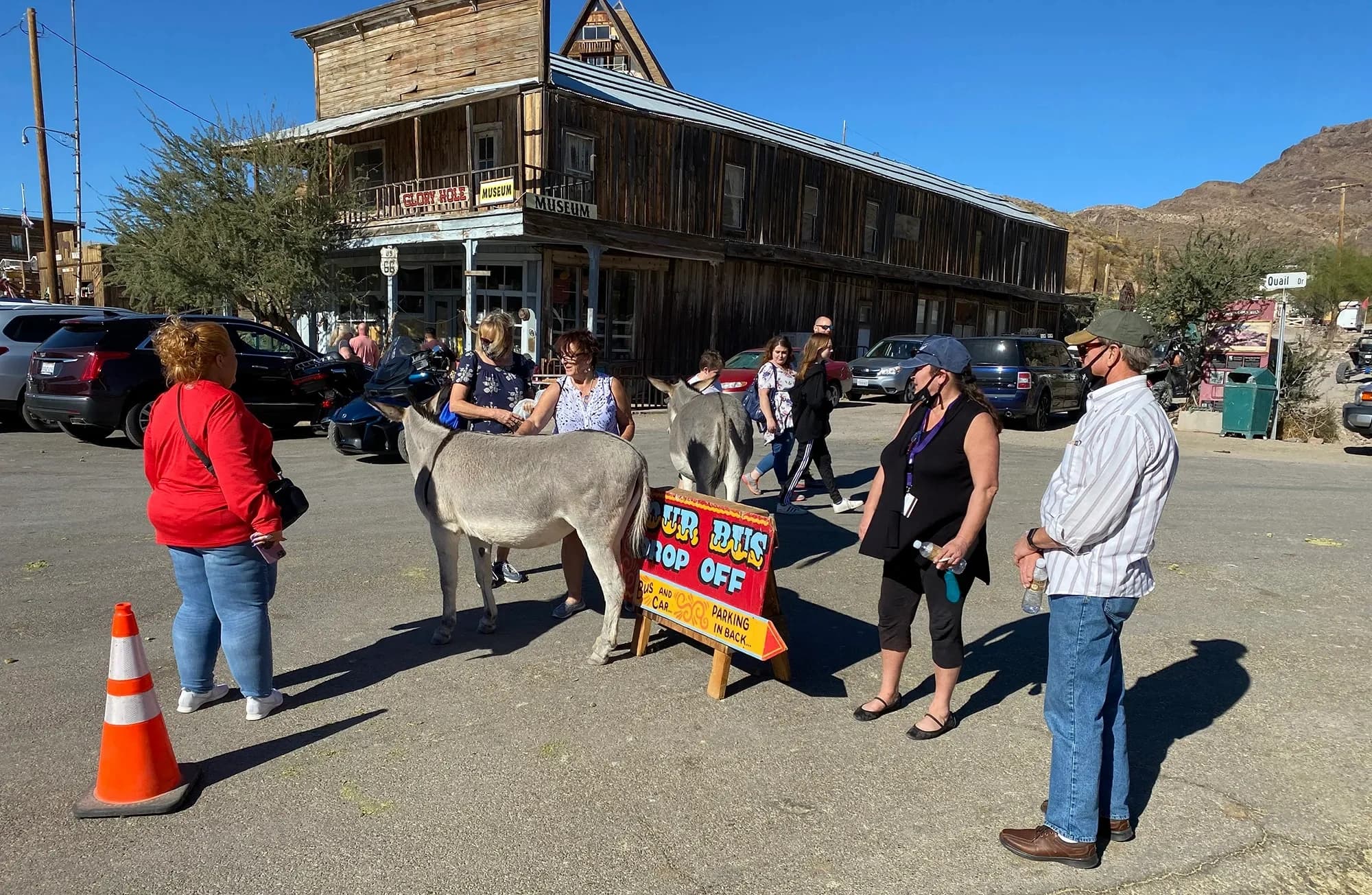 Historic Oatman Mining Village & Route 66 Tour in Kingman