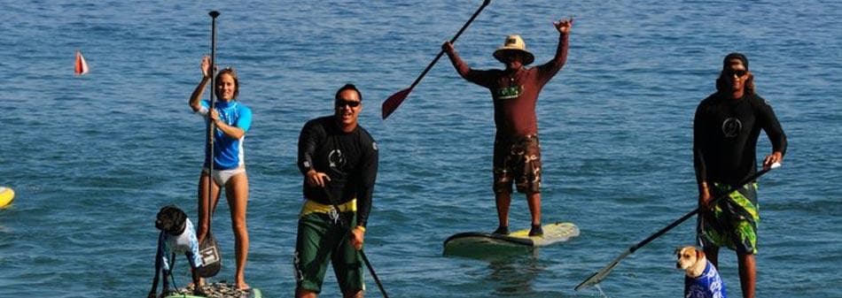 Group of paddleboarders standing in ocean, coastal backdrop Maui