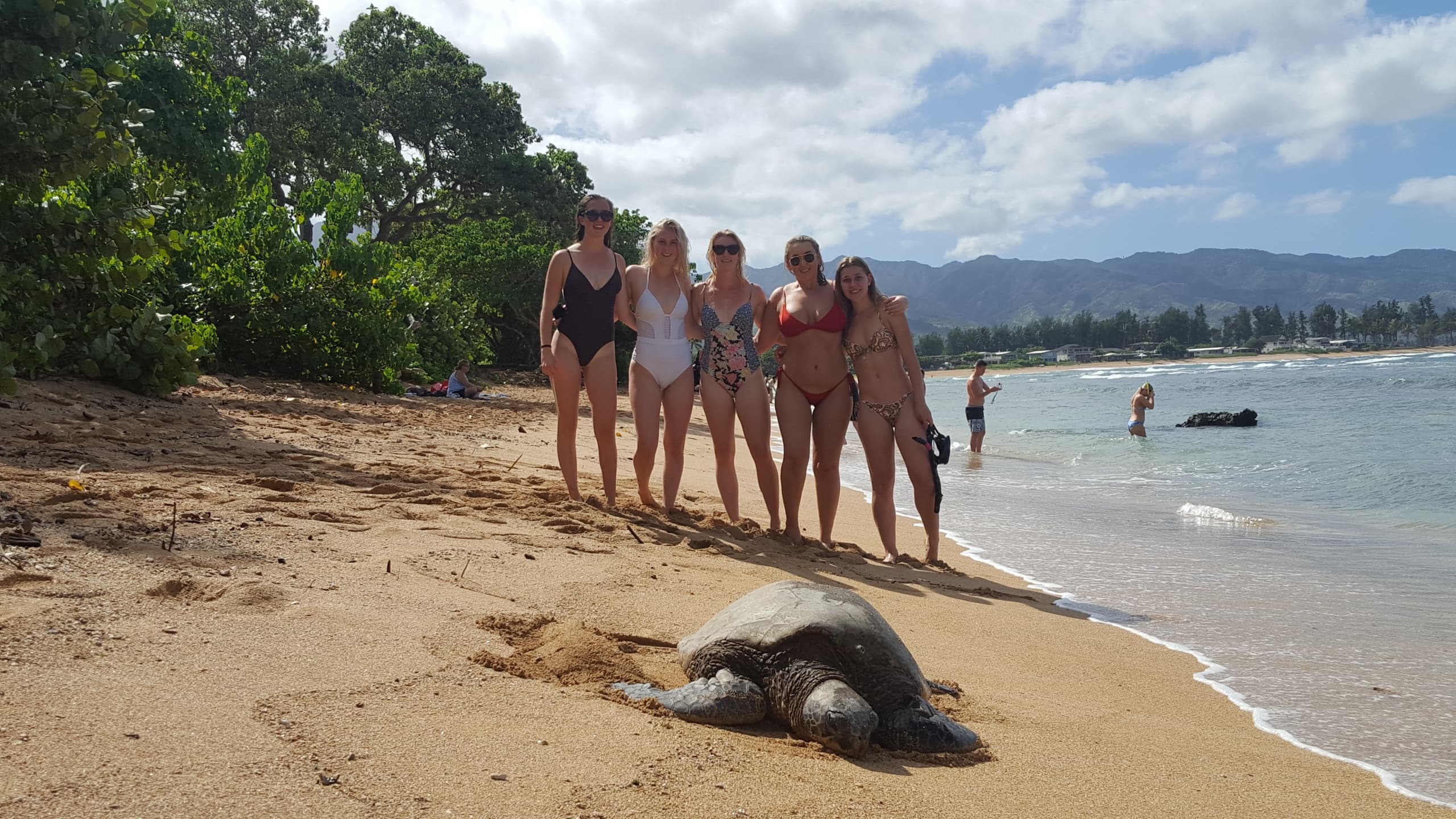 Private Oahu Tour: Custom Snorkeling, Coastal Cruises & Wildlife from Honolulu