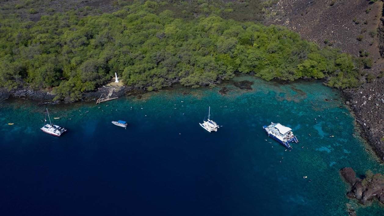 Discover Kealakekua Snorkeling Tours in Kailua-Kona