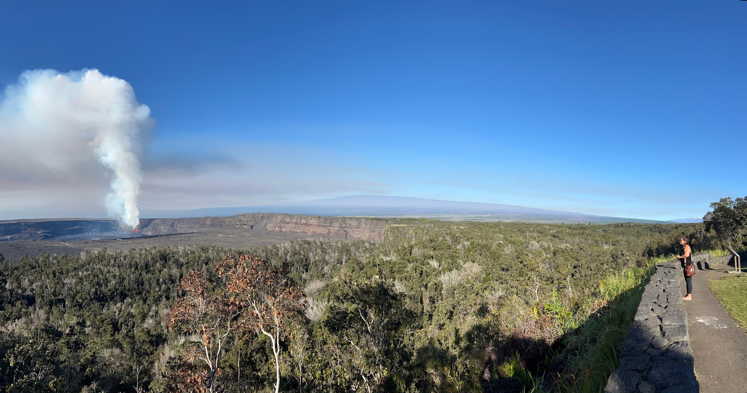 Ultimate Hilo & Volcano Private Adventure — 7-Hour Tour of Hawaiʻi Volcanoes National Park