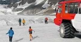 Day Tour - Icefields & Alpine Wonders: Columbia Icefield, Athabasca Glacier & Skywalk