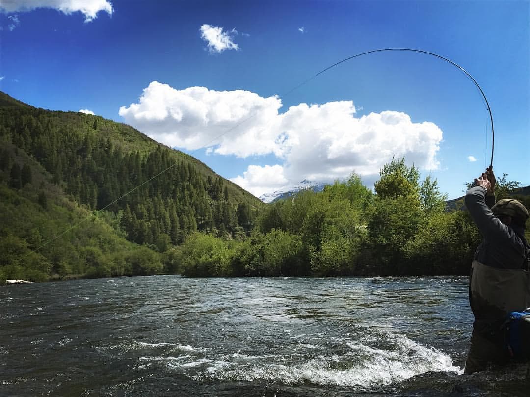 Wade Fishing with Wasatch Guide Service in Utah’s Rivers