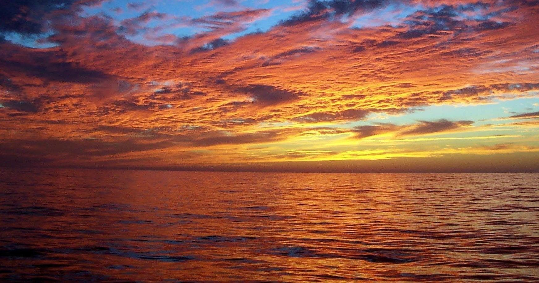 Water Activities & Beth Ann Whale Watch in Cape Cod