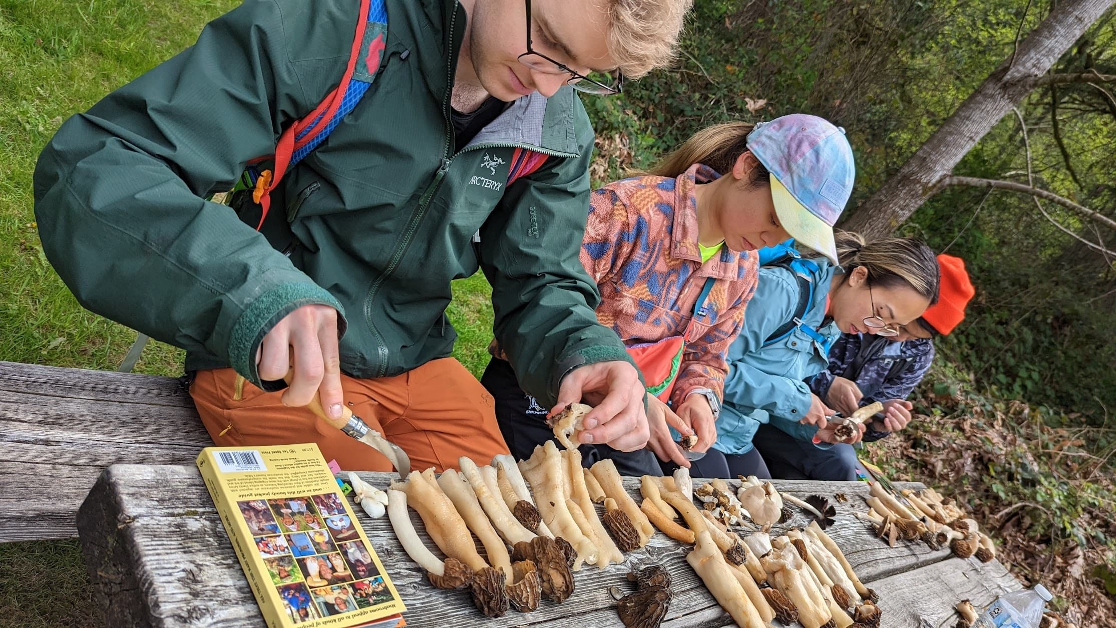 Seattle Mushroom Foraging 101: Hands-On Wild Mushroom Walk Near Redmond photo 2