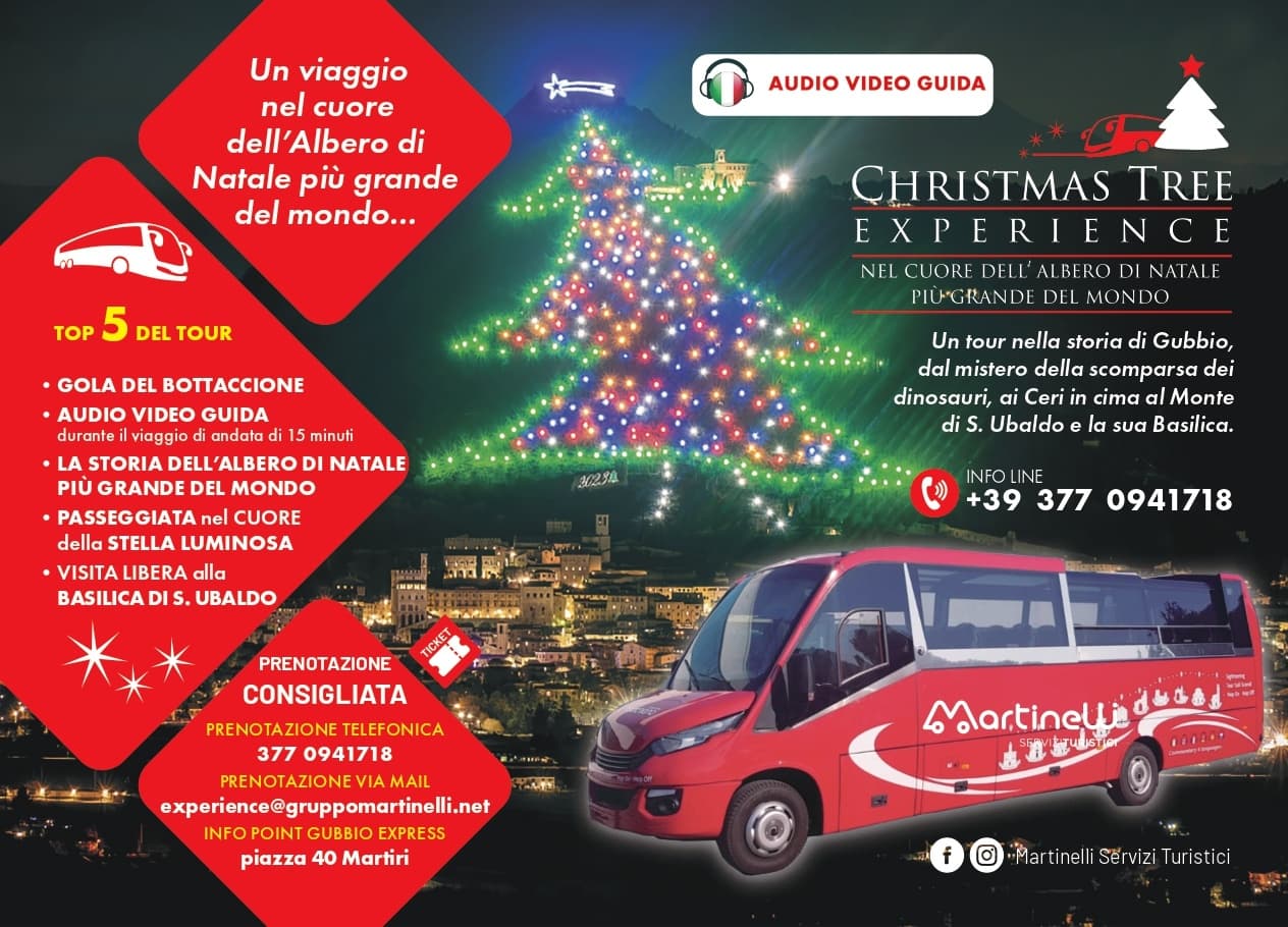 MST Tour Operator fleet