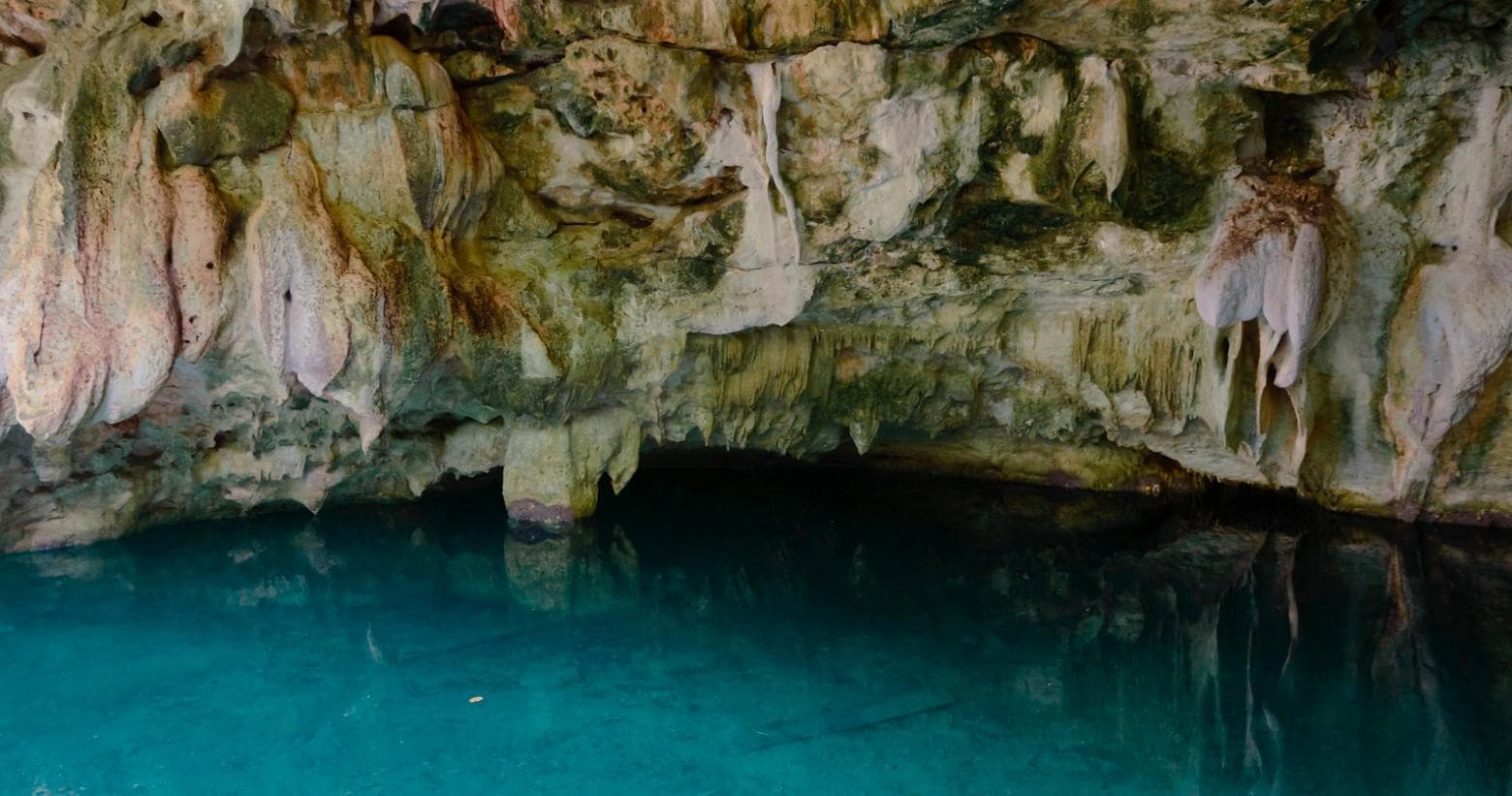 Cenote Diving at Dream Gates with Always Diving & Water Sports